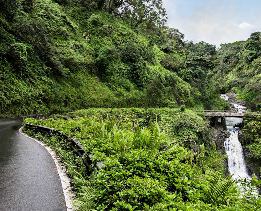 halfway to hana road maui