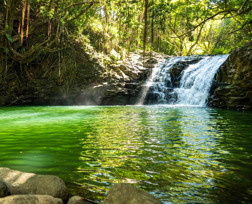 hikemaui maui waterfall rainforest hike waterfall stream