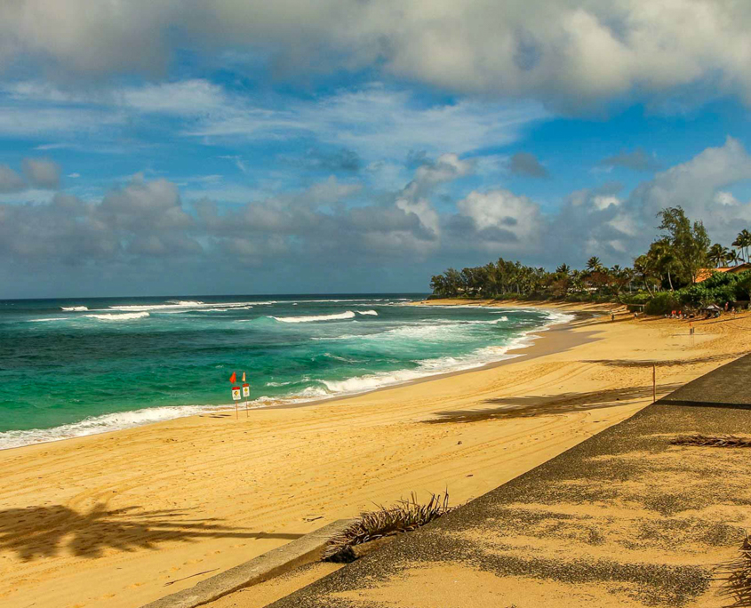 sightseeing snorkeling tour north shore oahu beach 